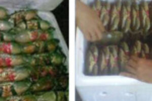 Cara-Mengemas-Kepiting1-150x150